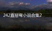242直掰彎小說合集2(關于242直掰彎小說合集2簡述)