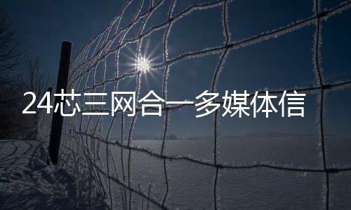 24芯三網合一多媒體信息箱講解圖文參考價格