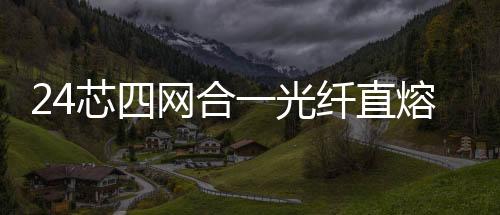 24芯四網合一光纖直熔箱促銷價格