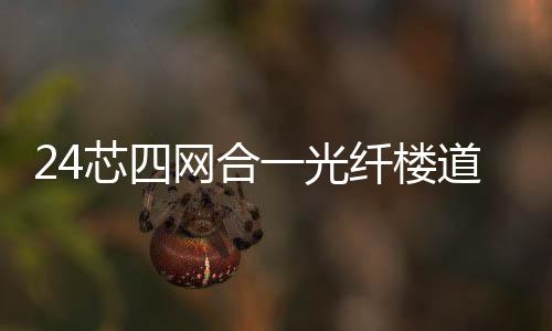 24芯四網合一光纖樓道箱