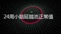 24周小腦延髓池正常值和河池警察小熊的詳細(xì)介紹