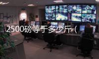 2500磅等于多少斤（1600磅等于多少斤）