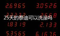 25天的泰迪可以洗澡嗎視頻？25天的泰迪能喂活嗎