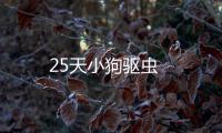 25天小狗驅蟲