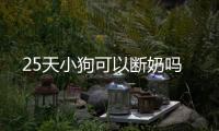 25天小狗可以斷奶嗎