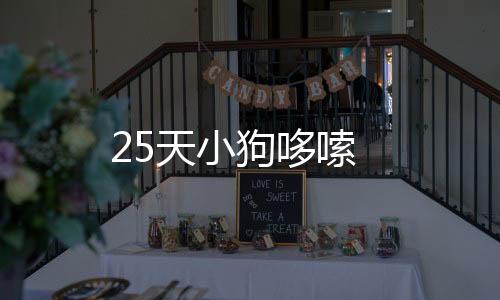 25天小狗哆嗦