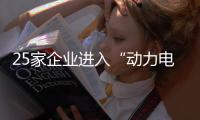 25家企業(yè)進入“動力電池行業(yè)規(guī)范”目錄