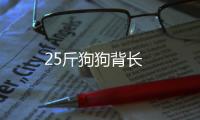25斤狗狗背長
