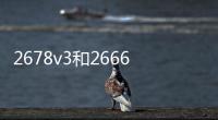 2678v3和2666v3（2678）