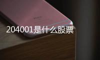 204001是什么股票，怎么買204001股票