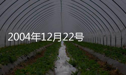2004年12月22號是什么星座（12月22號是什么星座）