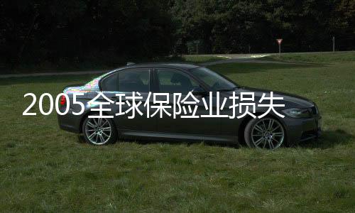 2005全球保險業損失800億美元