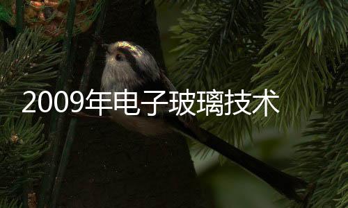 2009年電子玻璃技術(shù)研討會在京召開,行業(yè)資訊