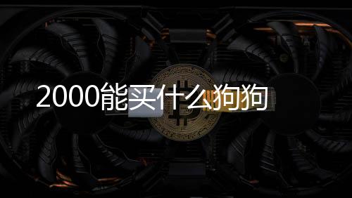 2000能買什么狗狗
