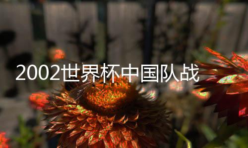 2002世界杯中國隊戰績如何？2002世界杯中國隊回顧
