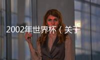 2002年世界杯（關于2002年世界杯的基本情況說明介紹）