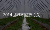 2014世界杯回放（關于2014世界杯回放的基本情況說明介紹）