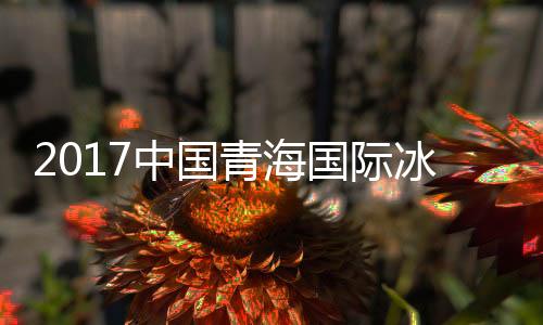 2017中國青海國際冰壺精英賽(關于2017中國青海國際冰壺精英賽簡述)