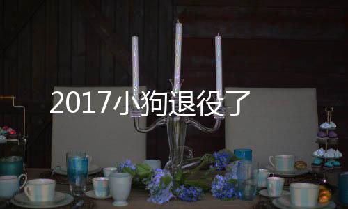 2017小狗退役了