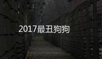 2017最丑狗狗