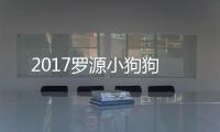 2017羅源小狗狗