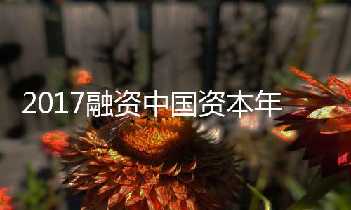 2017融資中國資本年會(關于2017融資中國資本年會簡述)
