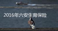 2016年六安生育保險(xiǎn)政策