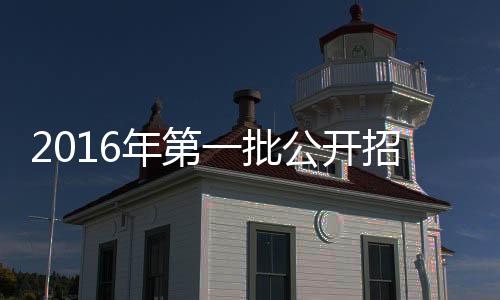 2016年第一批公開招聘筆試成績補充公告