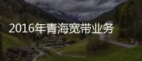 2016年青海寬帶業務服務能力進一步提升用戶結構發生明顯變化