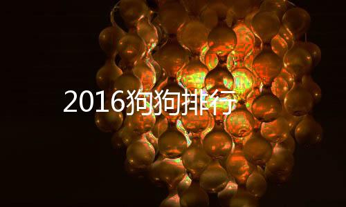 2016狗狗排行