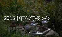2015中石化年報：公司股東應占利潤為324.4億