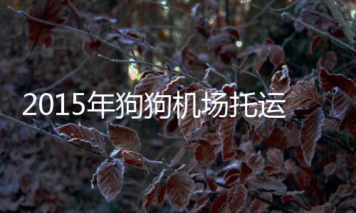 2015年狗狗機場托運