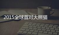 2015全球首對大熊貓雙胞胎(關于2015全球首對大熊貓雙胞胎簡述)