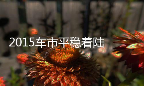 2015車市平穩(wěn)著陸 乘用車首超兩千萬大關
