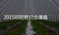 2015鄧麗君紀(jì)念演唱會(huì)（鄧麗君歌曲演唱會(huì)）