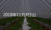 2018年11月8日山東省玻璃價格行情預測,行業資訊