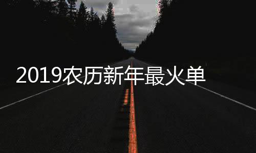 2019農歷新年最火單曲非這首歌莫屬