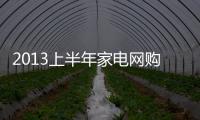 2013上半年家電網購530億 企業大佬押寶電商