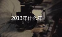 2013年什么年