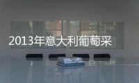 2013年意大利葡萄采摘報告