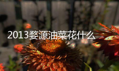 2013婺源油菜花什么時候開 最佳觀賞時間
