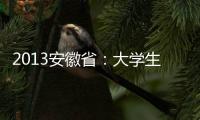 2013安徽省：大學生村官考試用書(關于2013安徽省：大學生村官考試用書簡述)