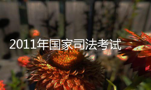 2011年國家司法考試歷年考題解讀(關于2011年國家司法考試歷年考題解讀簡述)