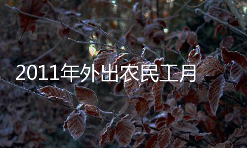 2011年外出農(nóng)民工月均收入大幅增長逾20%