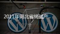 2011年河北省純堿產(chǎn)量分析,市場研究