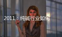 2011：純堿行業(yè)如何化解產(chǎn)能過剩,市場研究