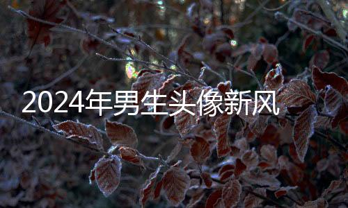 2024年男生頭像新風(fēng)潮：陽光帥氣的酷酷形象贏得關(guān)注