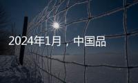 2024年1月，中國品牌乘用車銷量同比大增68.6%