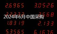 2024年6月中國采購經理指數運行情況