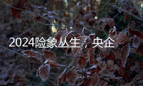 2024險(xiǎn)象叢生，央企為何仍在重金砸儲能?